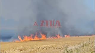 Incendiu de vegetație uscată în zona CFR Palas Constanța [upl. by Colline]