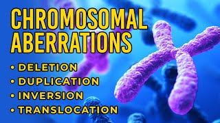 Chromosomal Aberrations  Deletion  Duplication  Inversion  Translocation [upl. by Araet273]