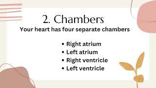 Heart heart heartfunction gcse nursing medicaleducation [upl. by Siraf]