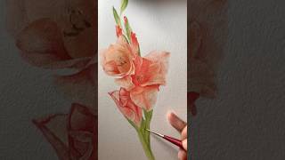 AugustBirthFlower Gladiolus symbolizing strengthmoral integrityampinfatuation art painting short [upl. by Amandy749]