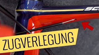 Zugverlegung im Rahmen  Austausch Tutorial  Fahrradorg [upl. by Agnola767]