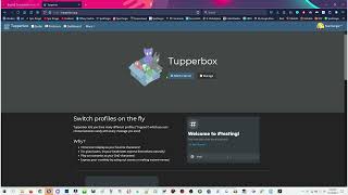 Tupperbox website tutorial [upl. by Aiepoissac637]