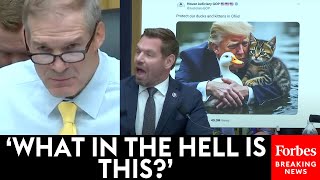 BREAKING NEWS Eric Swalwell Brutally Confronts Jim Jordan About Tweet Claiming Aliens Ate Ducks [upl. by Ahtnammas]