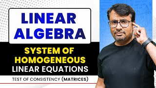 System Of Linear Equations  Homogeneous Equation  Matrices [upl. by Nanerb]