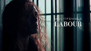 Multifemale  Labour [upl. by Bel]