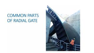 Exploring Radial Gates in Hydro Engineering [upl. by Leagiba]