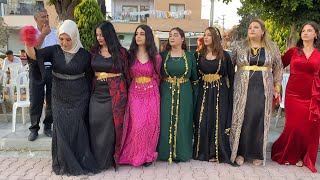 Süper Şevko Halayı 2024  Yeni Kürtçe Halay  Kurdish Wedding [upl. by Leoy210]