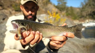 Catching Trout in New Ways [upl. by Ahsercel]