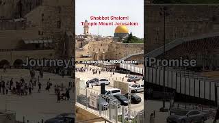 Wonderful City of David the Ancient City of Jerusalem the Capital of Israel [upl. by Naic]