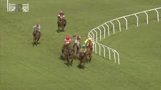 Cheltenham Festival 2019 Day 1  All Finishes [upl. by Trocki]