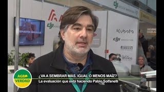 Siembras de maíz en el Norte de Córdoba qué estrategias se están evaluando luego de la Chicharrita [upl. by Aramahs408]