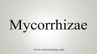 How To Say Mycorrhizae [upl. by Arleta]