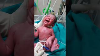 First cry baby at birthmaa shortvideo baby cutebaby status babyvideos cute nurse touching [upl. by Murdocca]