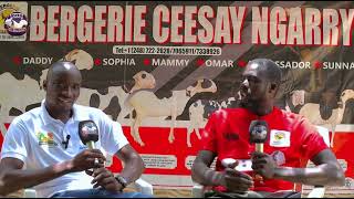 Bergerie Naancy Cissay Gambia [upl. by Inahet780]