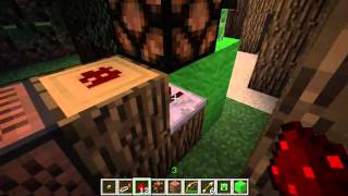 Minecraft Bow Arrow How to Build Archery Range [upl. by Neeluqcaj523]