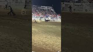 Winning Bull Ride Omak Stampede [upl. by Akiraa]