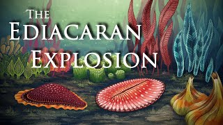 The Ediacaran Explosion ft CambrianScience [upl. by Adnilem]