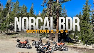 NorCal BDR Sections 234  KTM 890 Adventure’s [upl. by Lavinia]