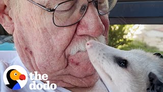 Opossum Cant Stop Slubbing His Mom  The Dodo [upl. by Bobina]