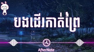 បងដើរកាត់ព្រៃ  សុិនសុីសាមុត [upl. by Stone216]