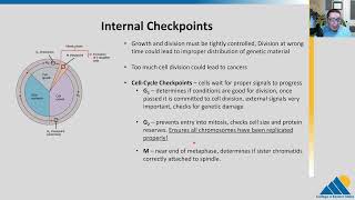 BIOL201 Ch103  Control of the Cell Cycle  OpenStax Biology [upl. by Georgy]