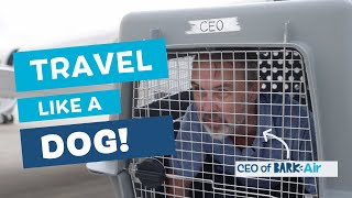 We Made Our CEO Travel in a Dog Crate [upl. by Dorran]