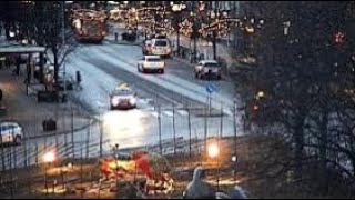 Gävle Goat  HIT BY CAR  2016 [upl. by Rubio]