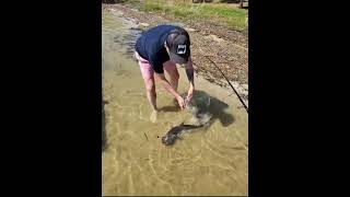 ✅☝️ HAMMER SHARKVideo Full Tap arribaquot▶️quot fishing pesca pescadeportiva [upl. by Nnayar]