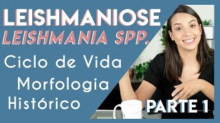 Leishmaniose Leishmania spp  DICAS PARA SUA PROVA PRÁTICA  Parte 1  PARASITOLOGIA 5 [upl. by Alger]