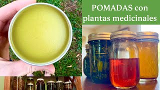 Aprende sobre ACEITES Y POMADAS HERBALES 🌱 herbolaria [upl. by Annairb7]