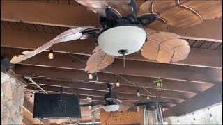 5 52” Home Decorators Collection Palm Cove Ceiling Fans and 11 Wind Chimes at a Mexican Restaurant [upl. by Davilman459]