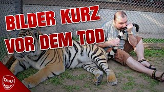 5 Bilder die kurz vorm Tod aufgenommen wurden [upl. by Sarkaria]