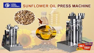 Small Scale Oilseed PressesSunflower Seed Oil ExtractionSunflower Oil Making MachineOil Press [upl. by Akire]