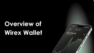 Overview of Wirex Wallet [upl. by Hausner]