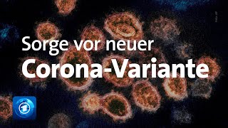 Coronavirus OmikronVariante bereitet Expertinnen Sorge [upl. by Haskins]