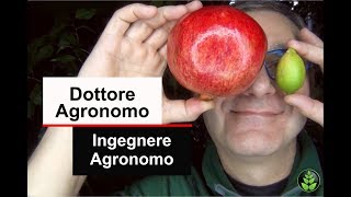 Dottore Agronomo o Ingegnere Agronomo [upl. by Tedman67]