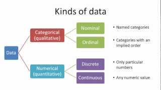 Kinds of data [upl. by Ainesy]