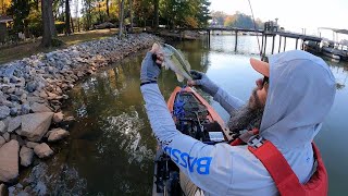 Fall Bass Fishing in Dirty Water [upl. by Osnola]