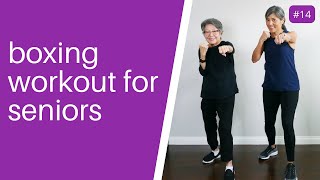 Boxing Workout for Seniors [upl. by Alhahs830]