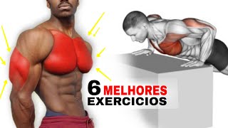 Treino de Peito e Triceps Com Sem Equipamentos  Usando o peso do corpo [upl. by Ednargel714]