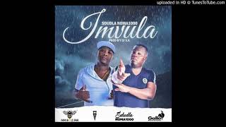 Sdudla Noma1000  Imvula ft DJ SK [upl. by Caryn820]