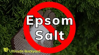 What Plants Don’t Like Epsom Salt ANSWERED [upl. by Nrek]