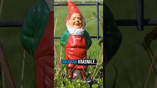 Chcieli opodatkować… krasnale ogrodowe 🤣🤣 [upl. by Sabine]