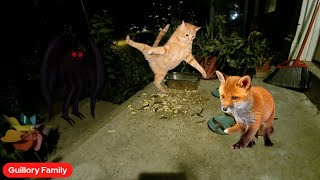 Live Critter Cam Saturday 😻🐦🦊 [upl. by Yahsan]