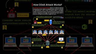 How ddos attack works how ddos affect the system codingeducationinformationddos networkviral [upl. by Boris]