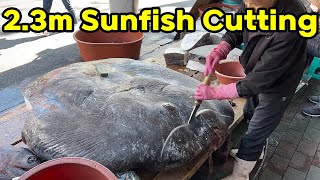 15T Incredible Giant Sunfish Cutting Skill Korean street food jukdo market pohang korea [upl. by Yrffoeg]