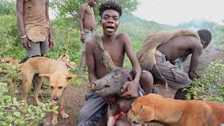 SHOCKING UNIQUE HUNTING SKILLS BY HADZABE HUNTERS IN THE BUSH hadzabe tribe hunters Tz [upl. by Allimaj459]