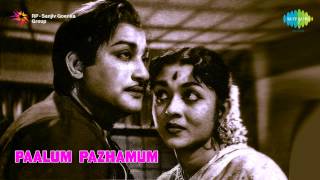 Paalum Pazhamum  Ponaal Pogattum song [upl. by Narra]