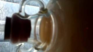 Turbo cider fermenting [upl. by El]