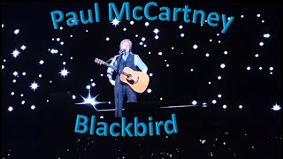 Paul McCartney  Blackbird [upl. by Hcone]